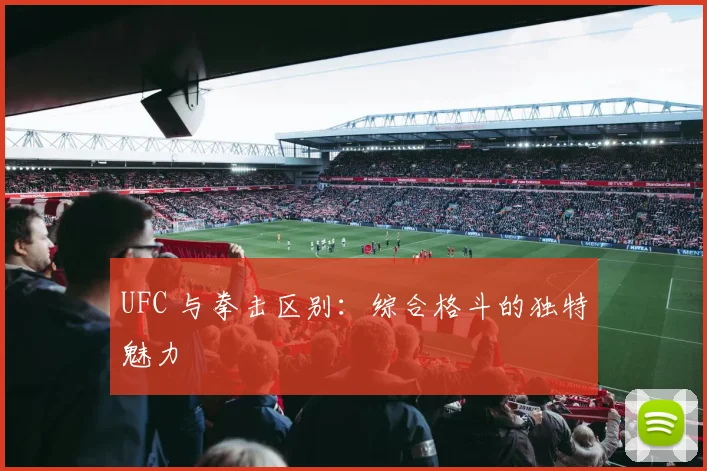 UFC 与拳击区别:综合格斗的独特魅力