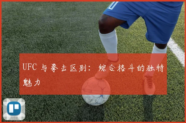 UFC 与拳击区别：综合格斗的独特魅力