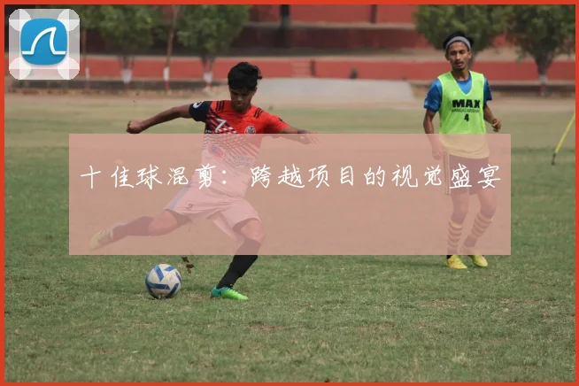 十佳球混剪:跨越项目的视觉盛宴